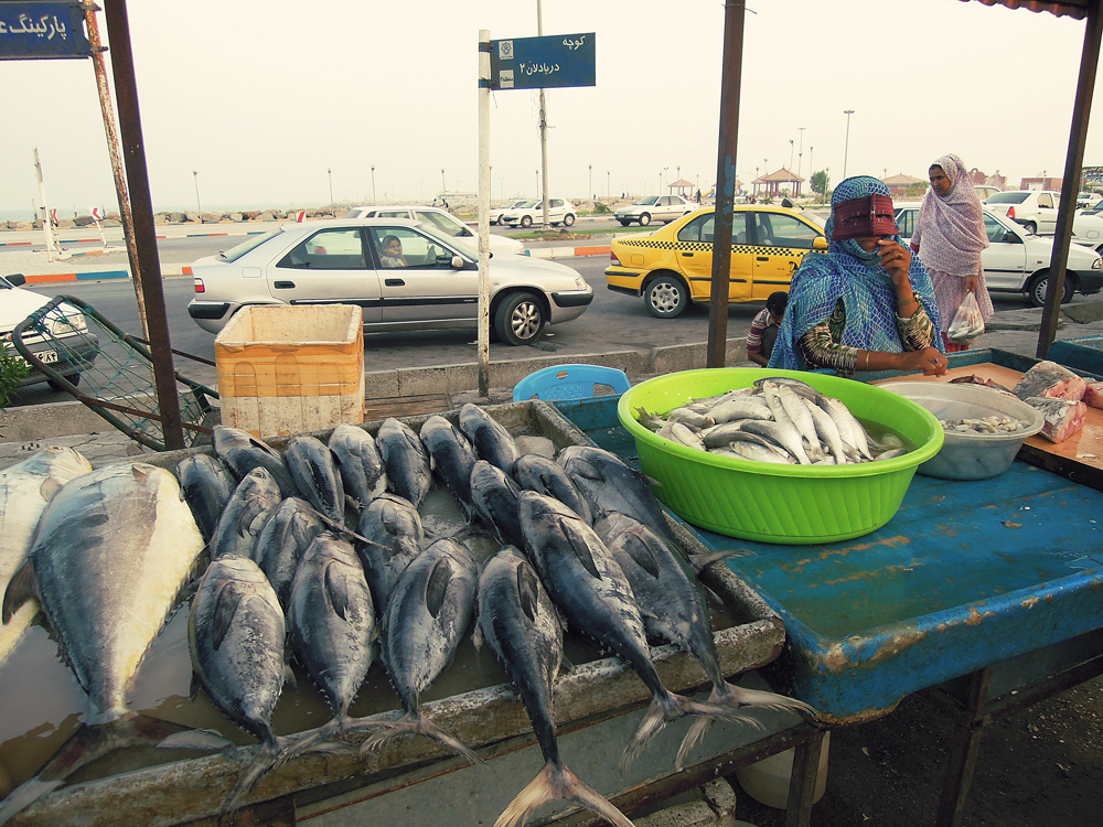 Fischmarkt Bandar Abbas