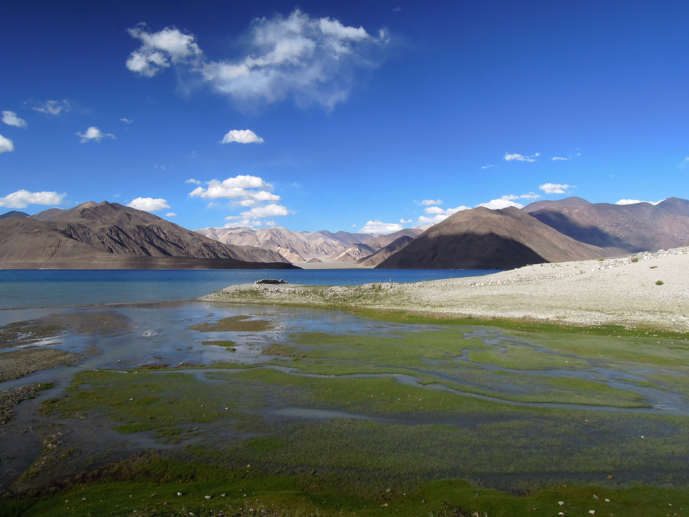 Pangong Tso