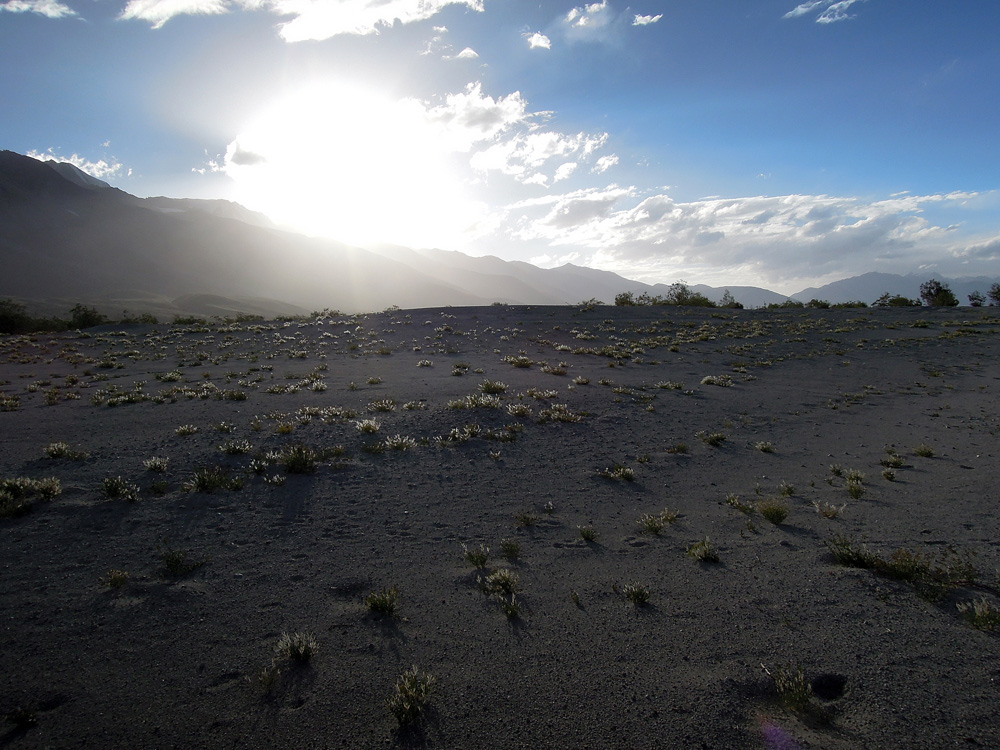 Pangong Tso