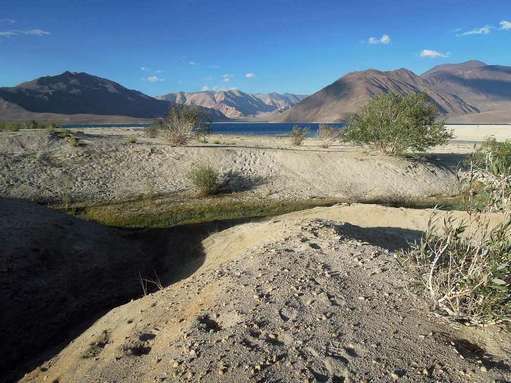 Pangong Tso