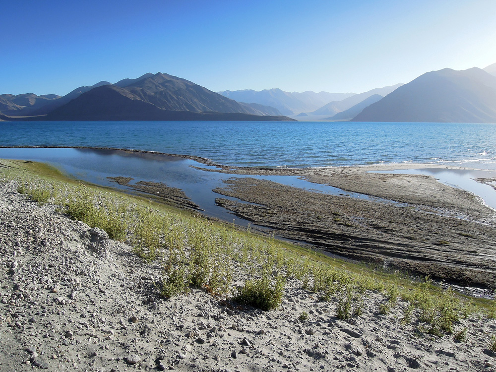 Pangong Tso