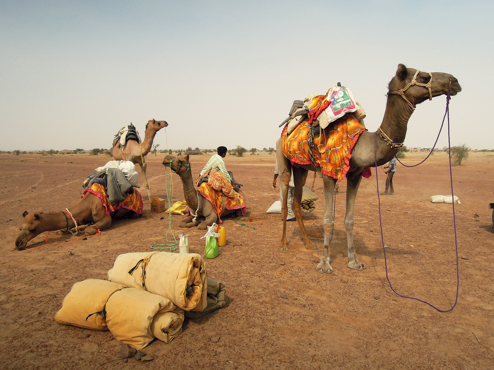 Jaisalmer