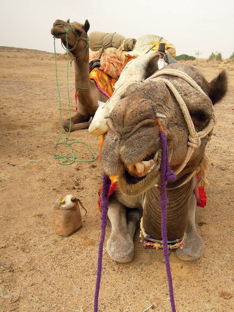 Jaisalmer