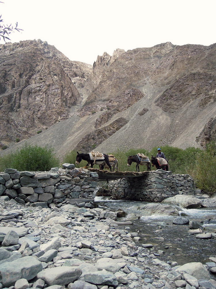 Markha Valley