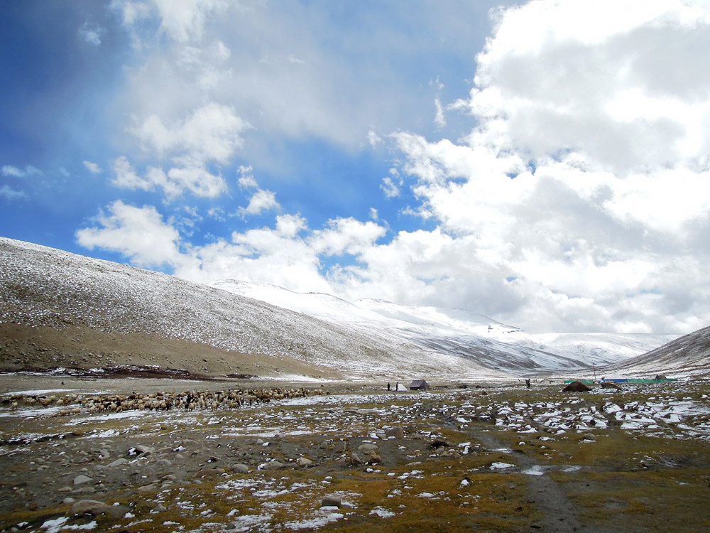 Markha Valley