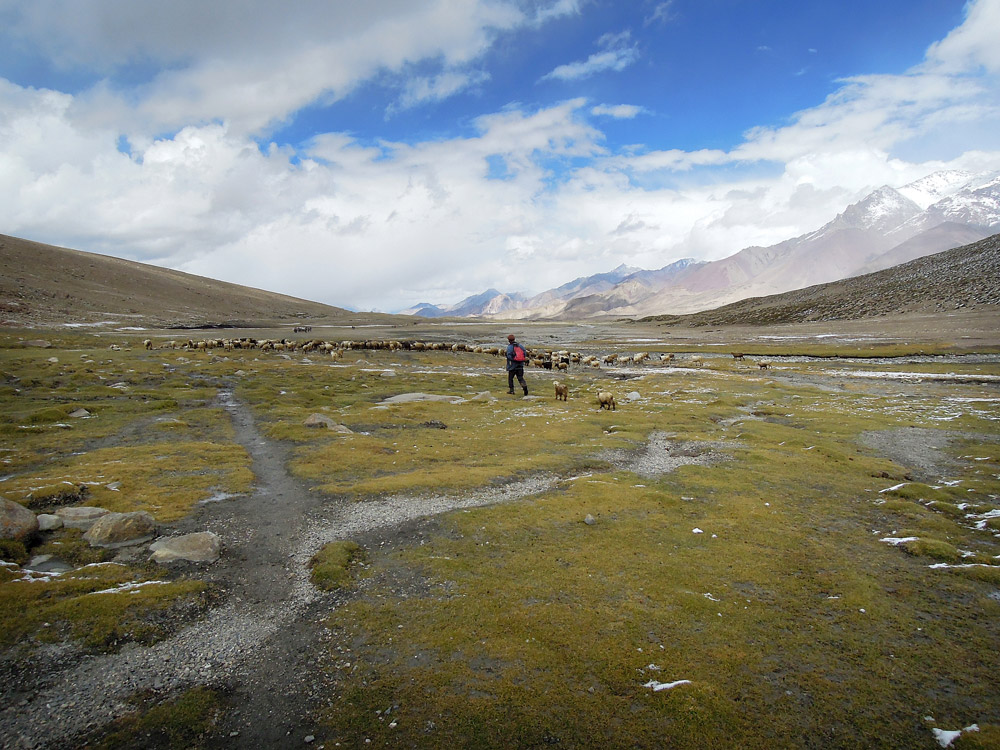 Markha Valley