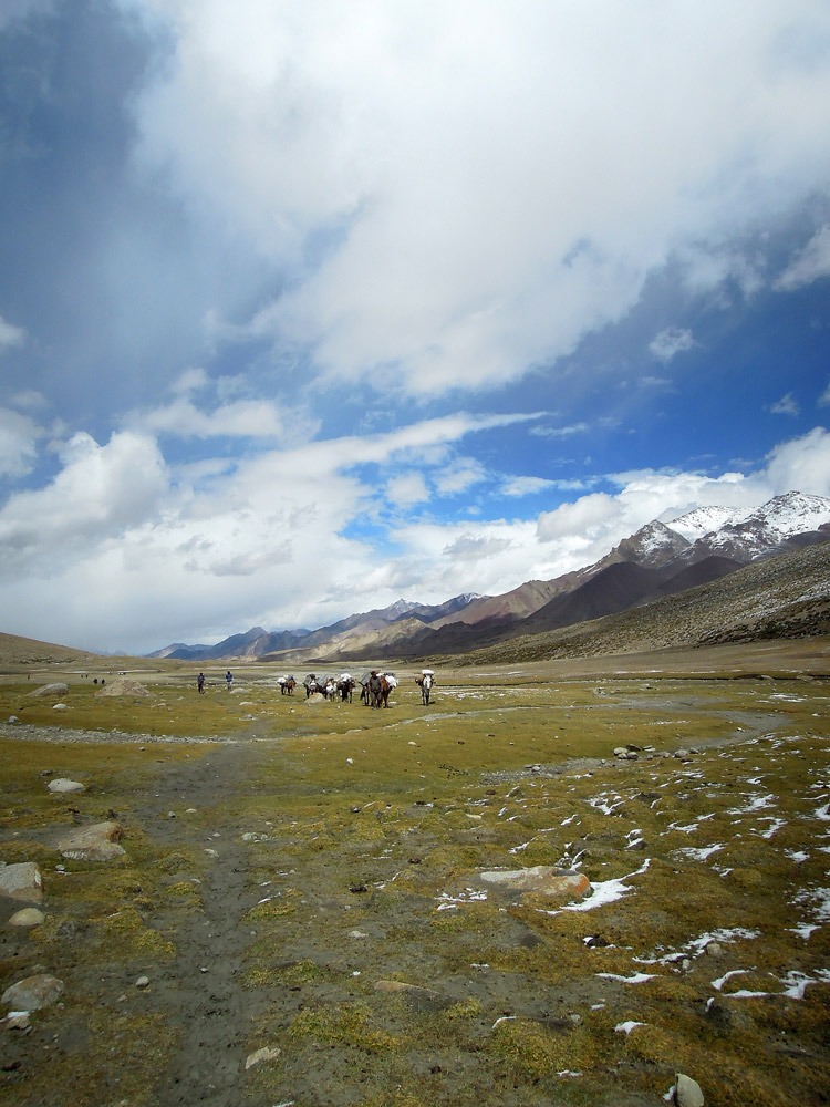 Markha Valley