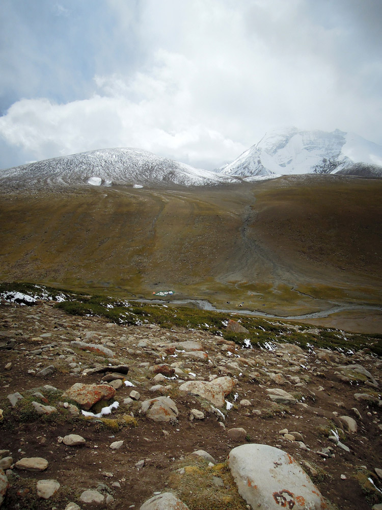 Markha Valley