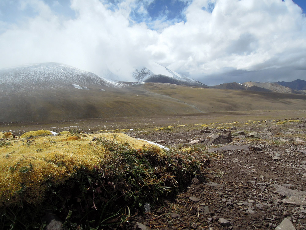 Markha Valley