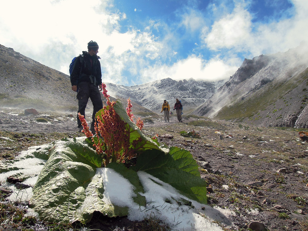 Markha Valley