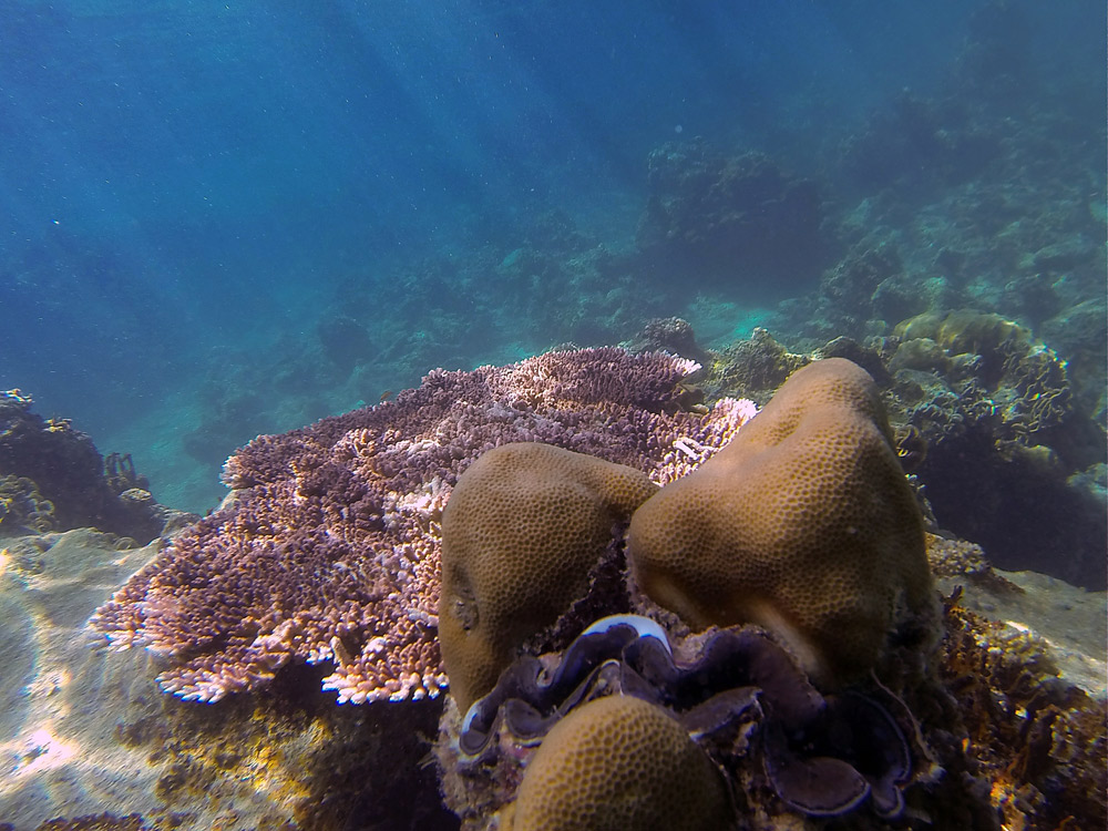 Perhentian Islands