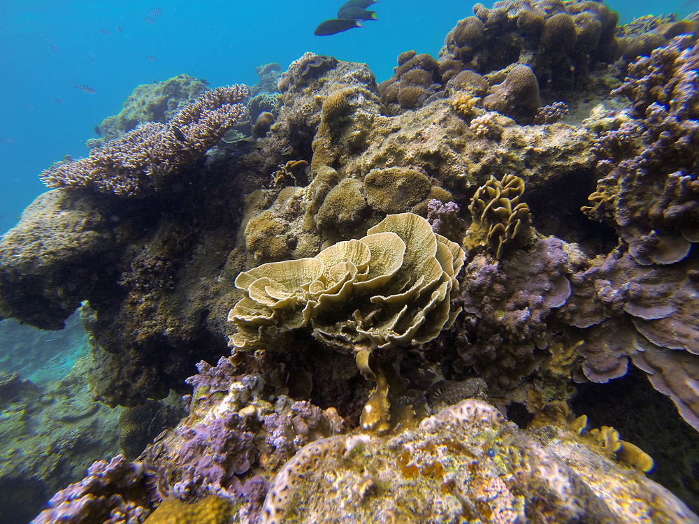 Perhentian Islands