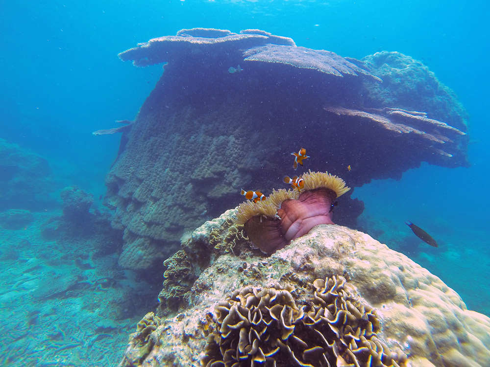 Perhentian Islands