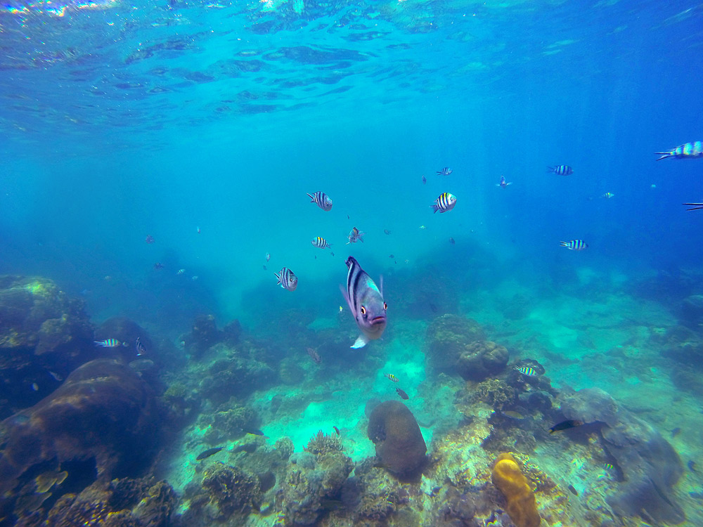 Perhentian Islands