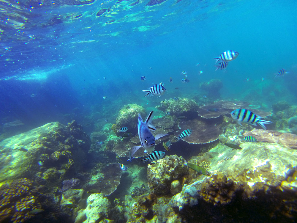 Perhentian Islands