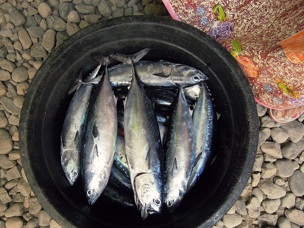 Lombok