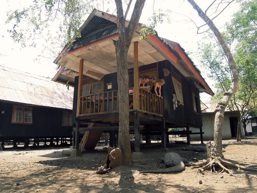 Rinca Komodo Nationalpark Labuan Bajo