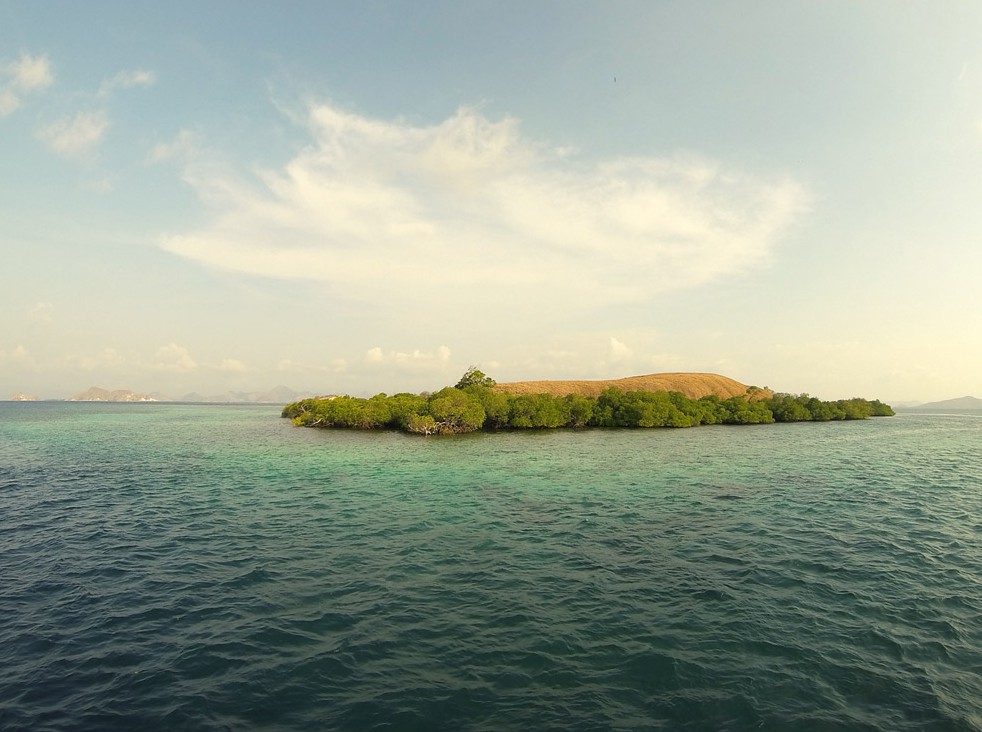 Rinca Komodo Nationalpark Labuan Bajo