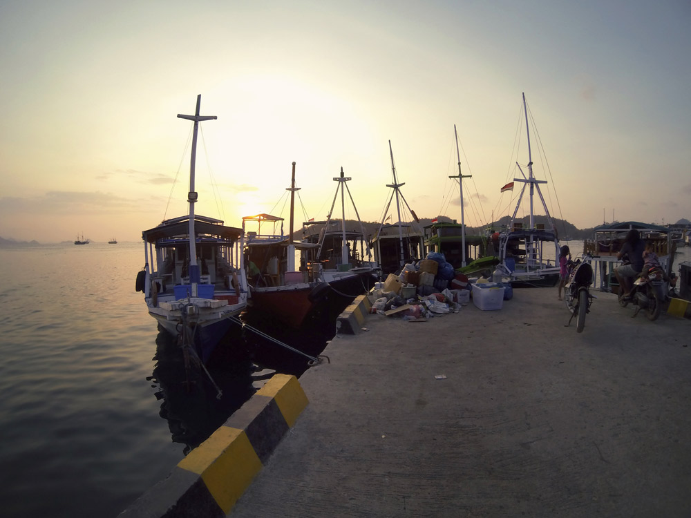 Rinca Komodo Nationalpark Labuan Bajo