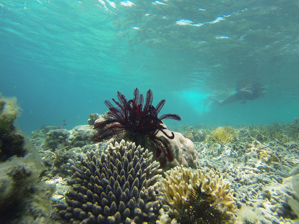 Labuan Bajo