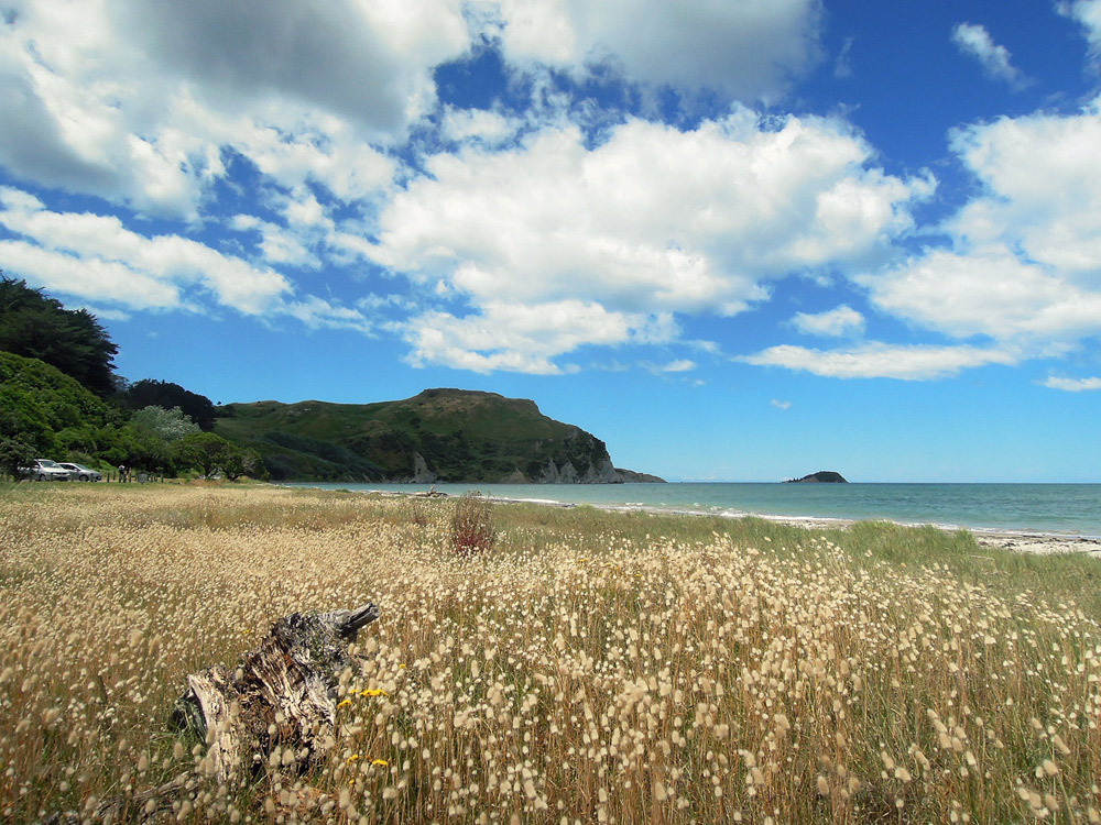 Gisborne Neuseeland