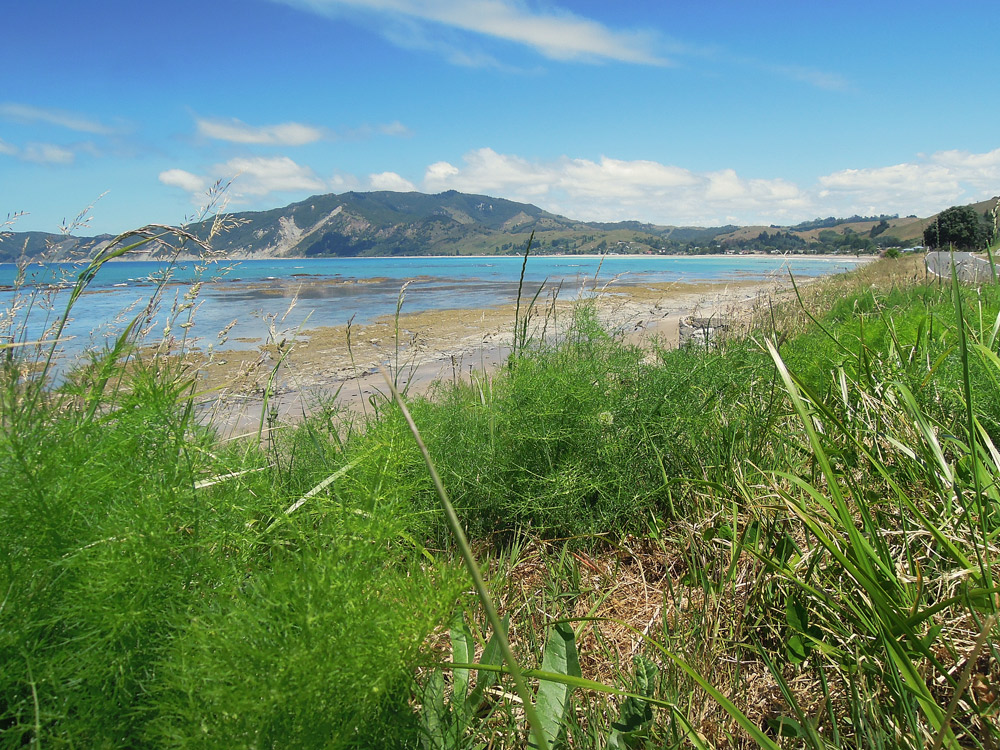 Gisborne Neuseeland