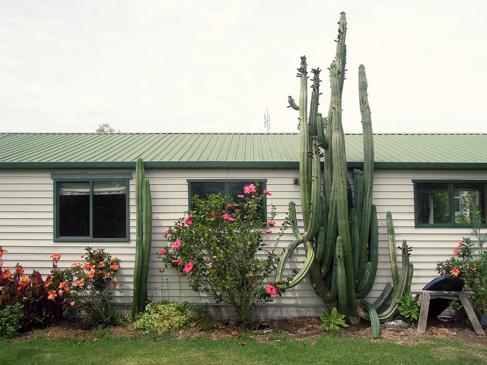 Gisborne Neuseeland