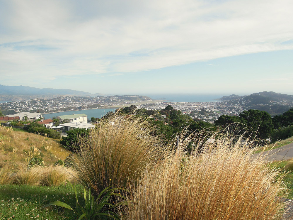 Wellington