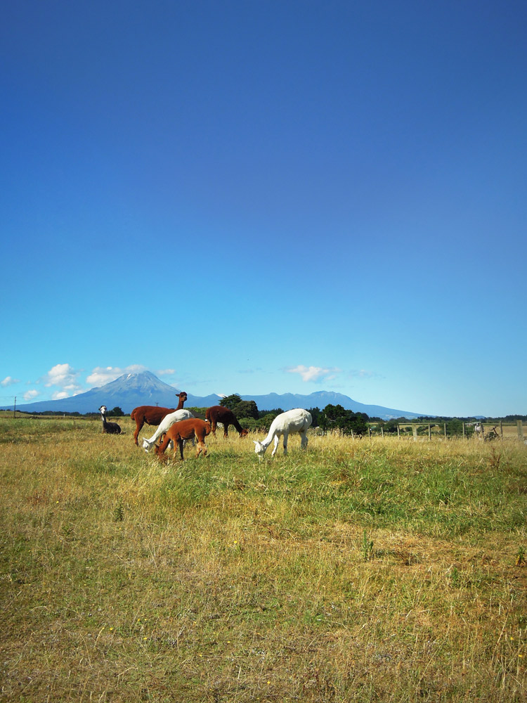 Mount taranaki