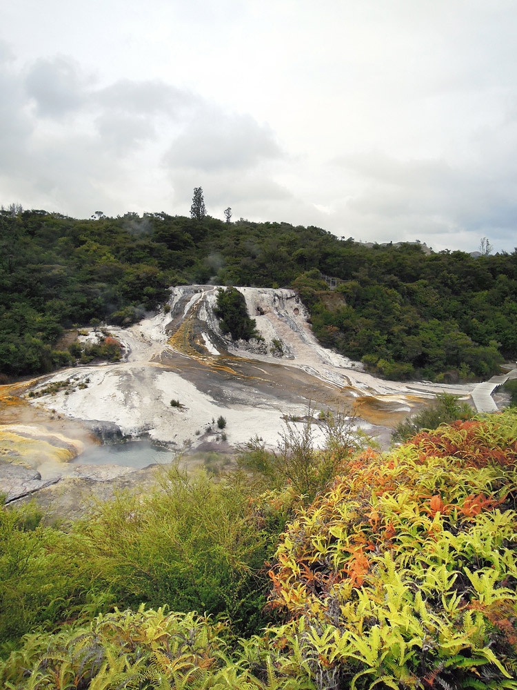 Orakei Korako Taupo