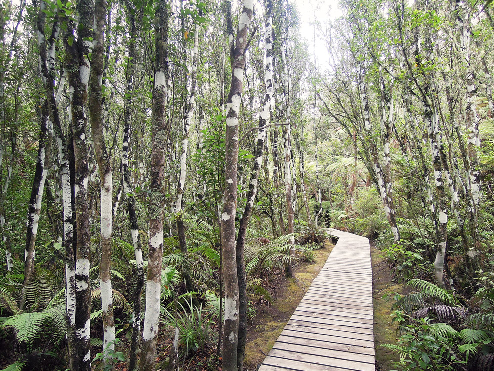 Orakei Korako Taupo