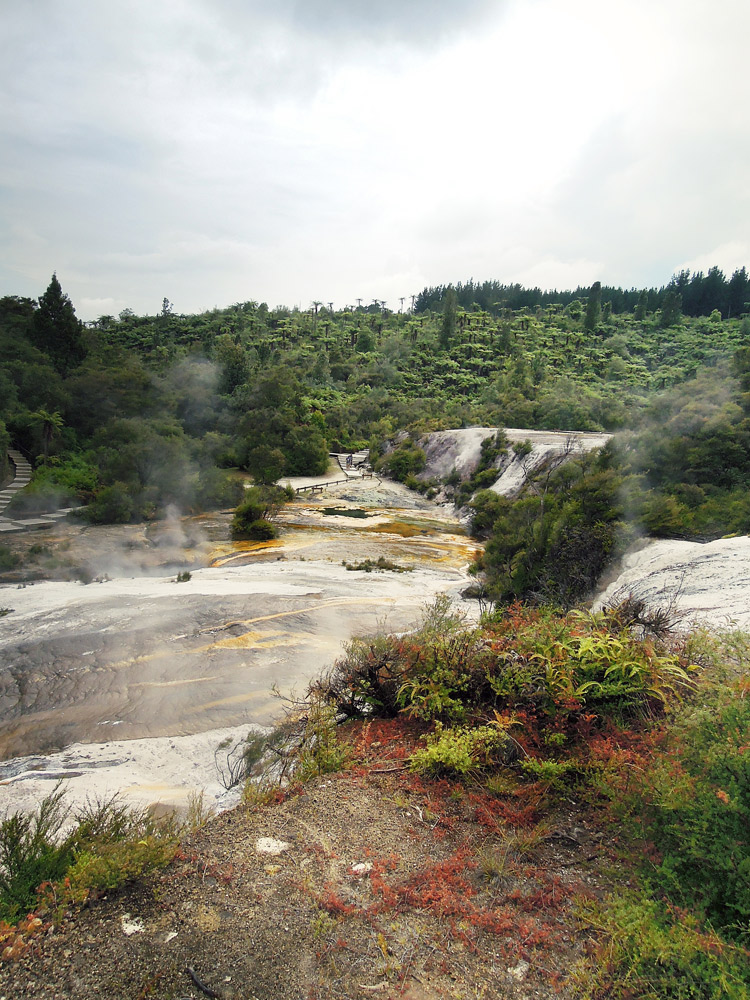 Orakei Korako Taupo