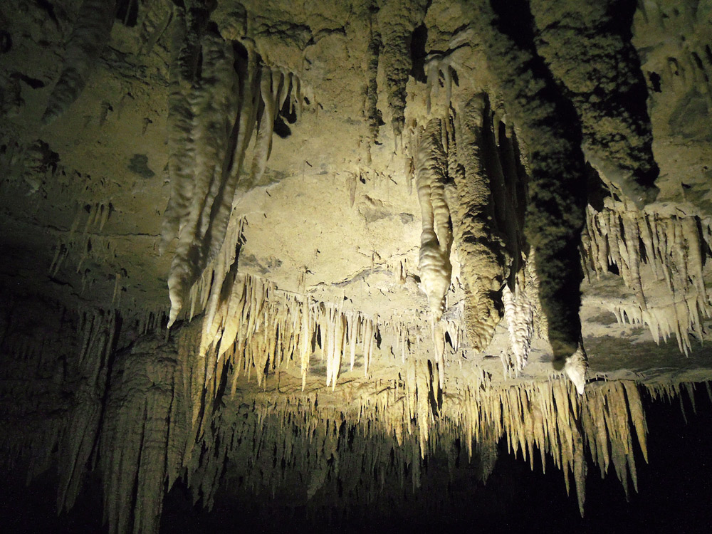 Waitomo Cave