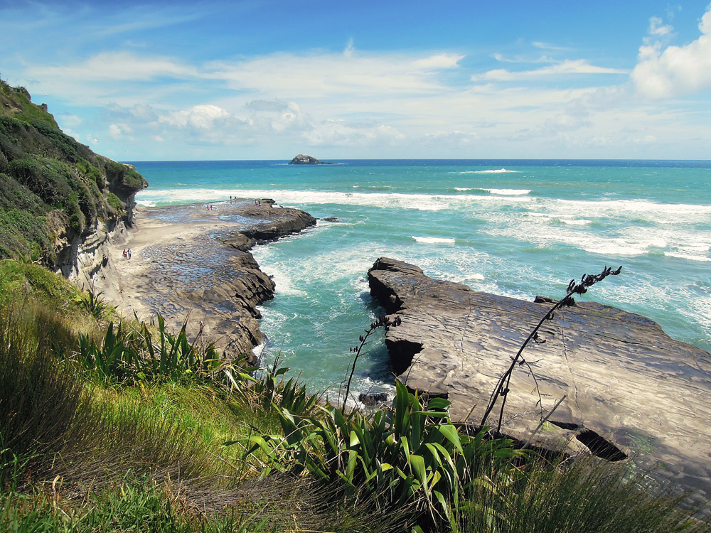 Muriwai Auckland