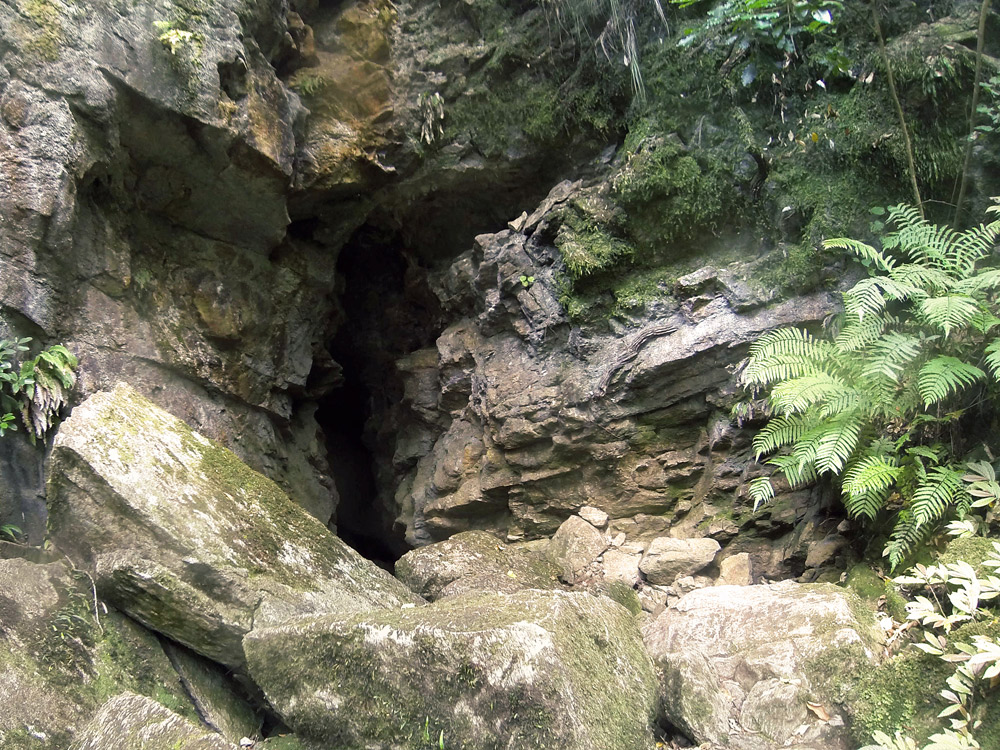 Abbey Caves