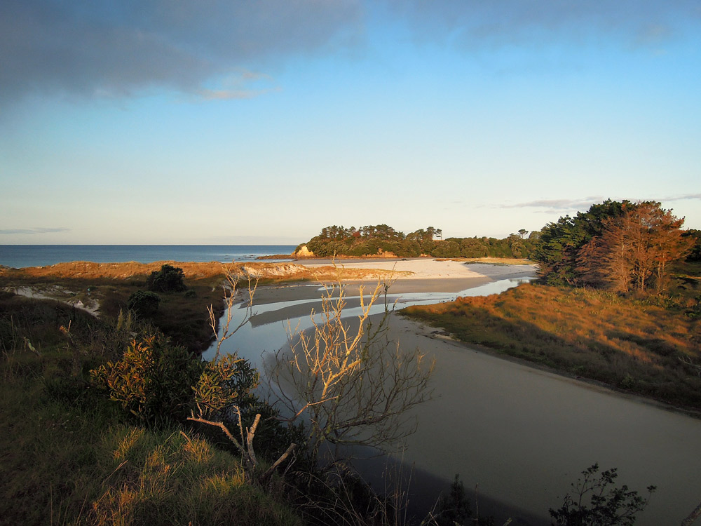 Rarawa Beach