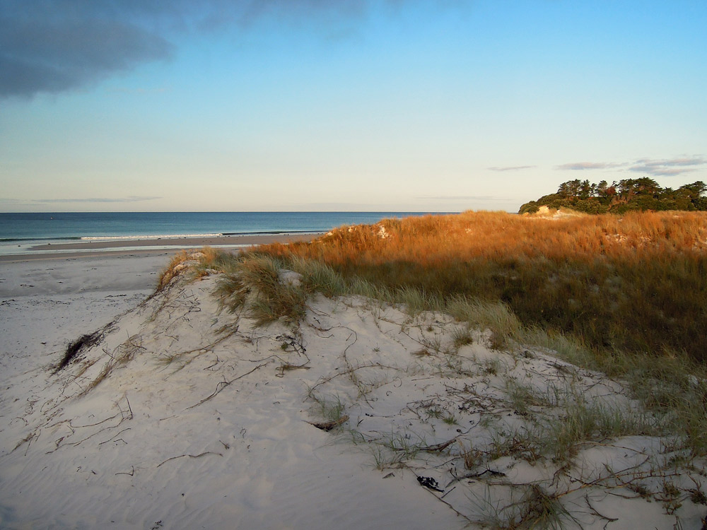 Rarawa Beach