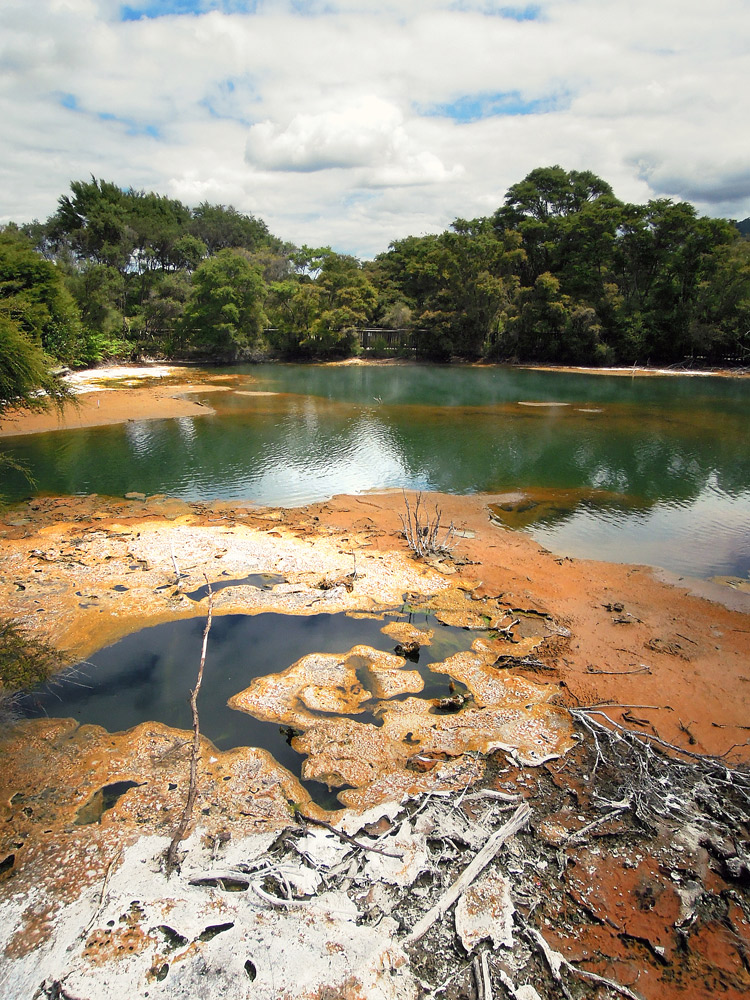 Rotorua