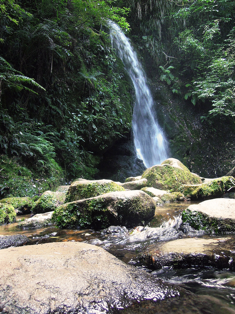 McLaren Falls Park Tauranga