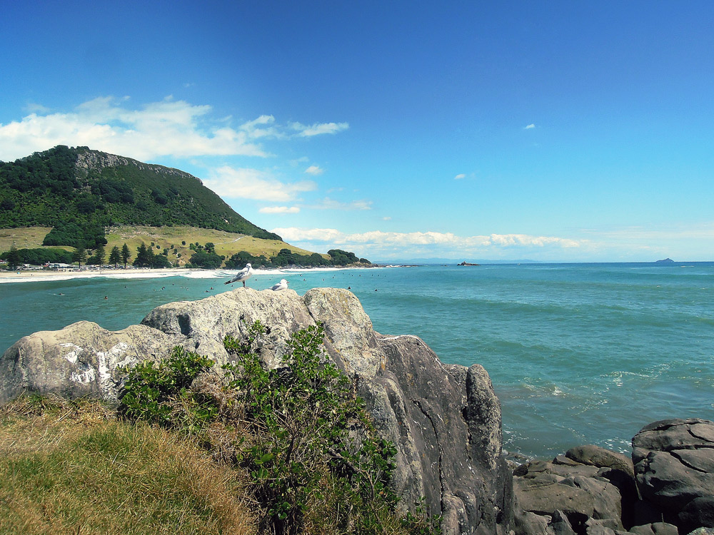 Tauranga Mount Maunganui