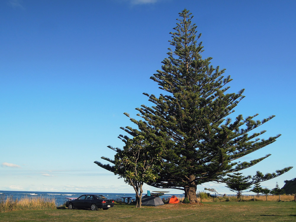 Tatapouri Bay