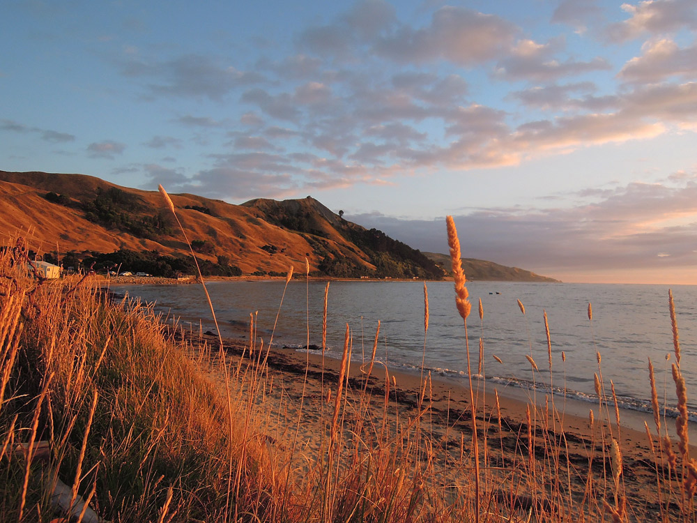 Tatapouri Bay