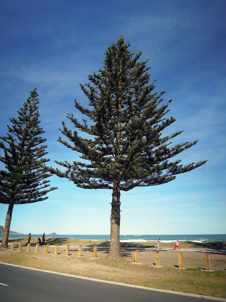 walkway_seaside