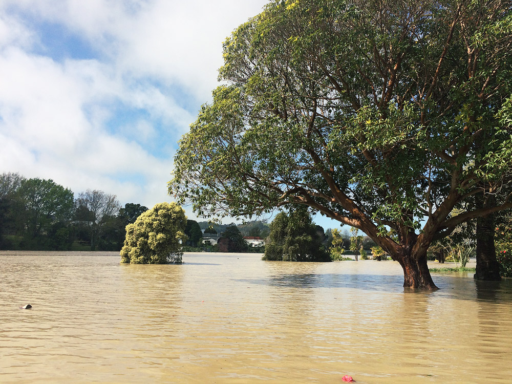 Gisborne-Hochwasser-riverside-trees