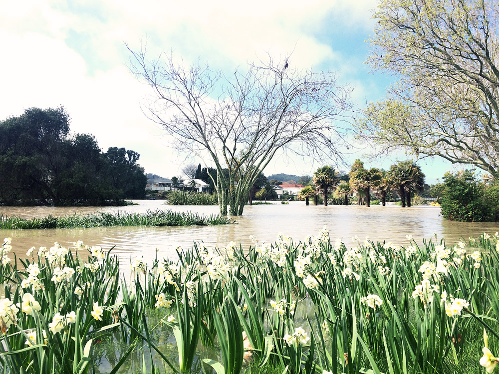 Gisborne-Hochwasser-riverside