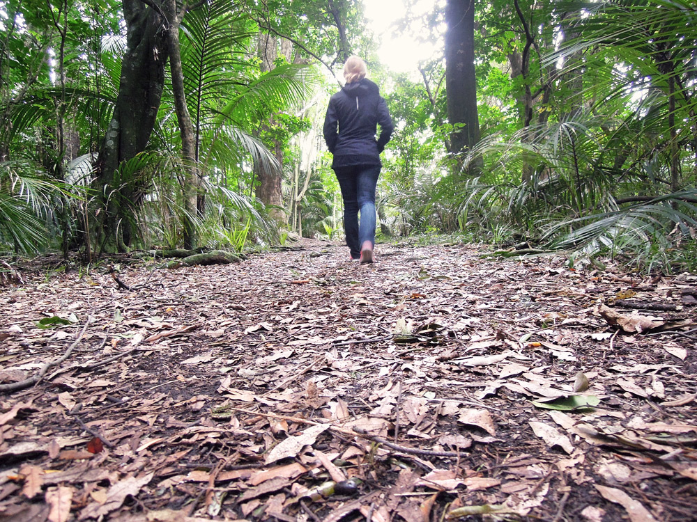 Greys-Bush-Scenic-Reserve-Wanderweg