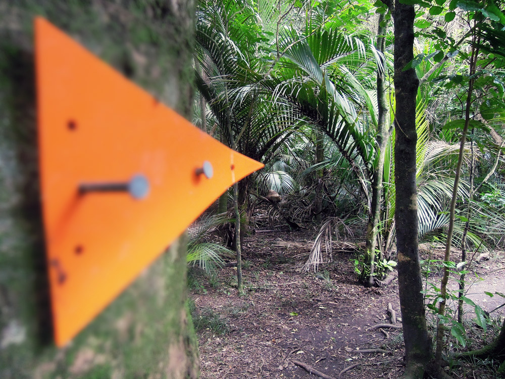 Greys-Bush-Scenic-Reserve-Wegweiser