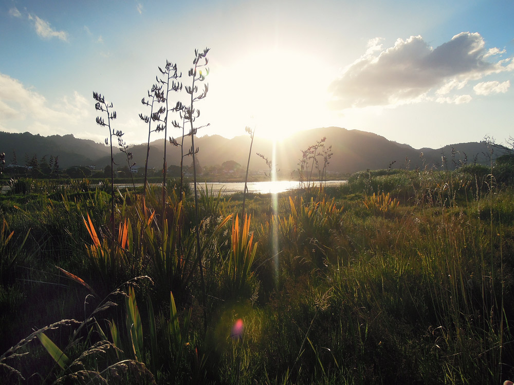 East-Cape-Neuseeland-sunset