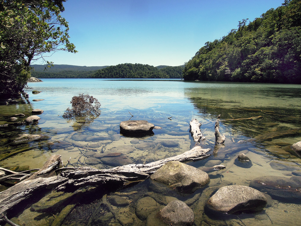 Lake-Waikaremoana-Neuseeland-beach