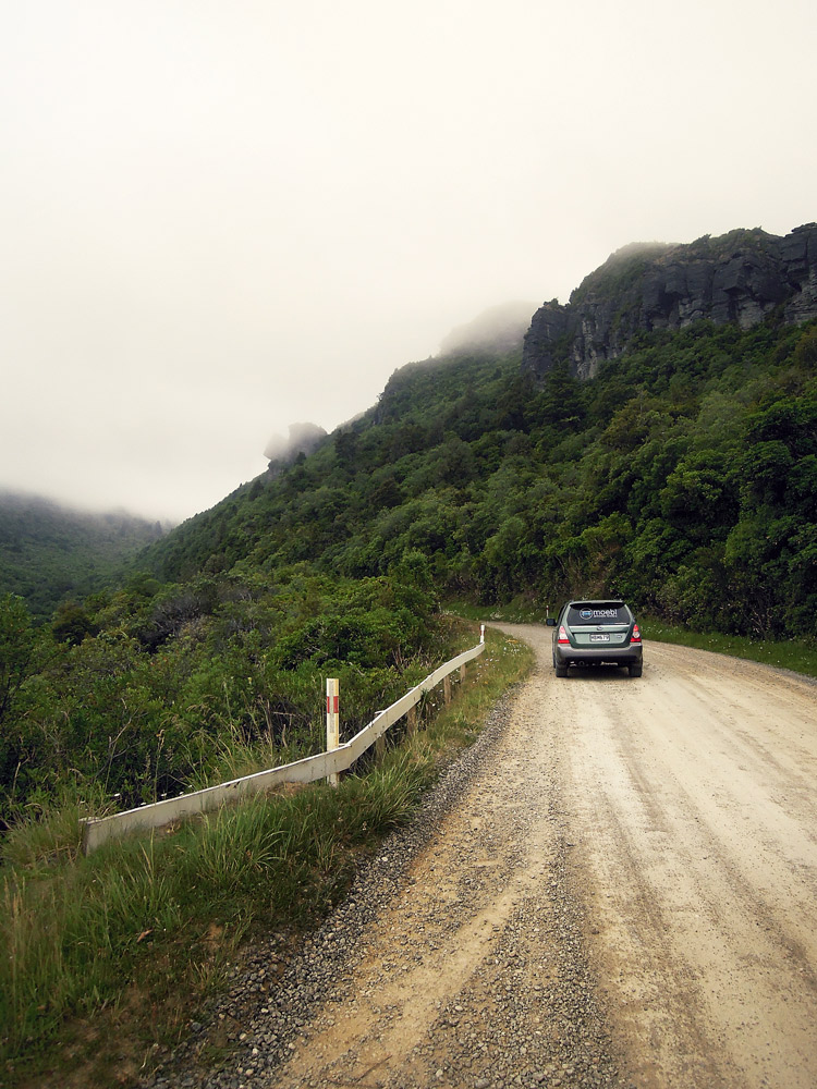 Lake-Waikaremoana-Neuseeland-forrest